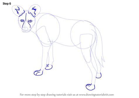Learn How To Draw A African Wild Dog Wild Animals Step By Step