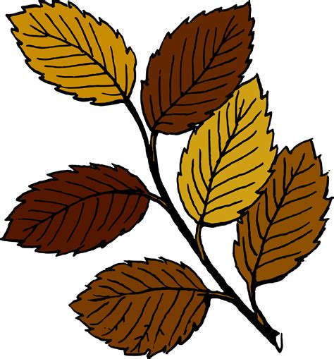 Leaves clipart autumn leaves, Leaves autumn leaves Transparent FREE for download on 