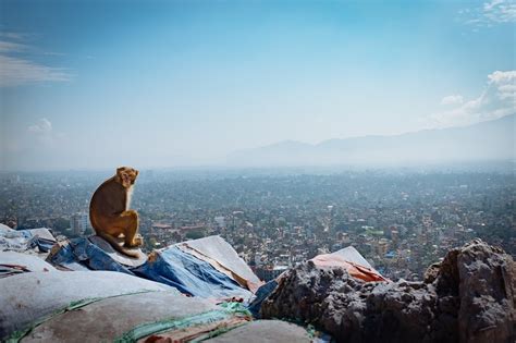 11 best places to visit in kathmandu [nepal] in 2023