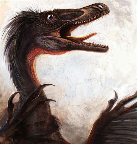Velociraptor Mongoliensis By Cheungchungtat On Deviantart
