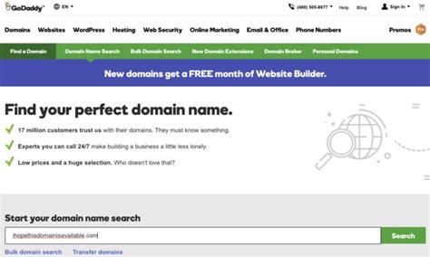 How To Register Your Websites Domain Name For Free
