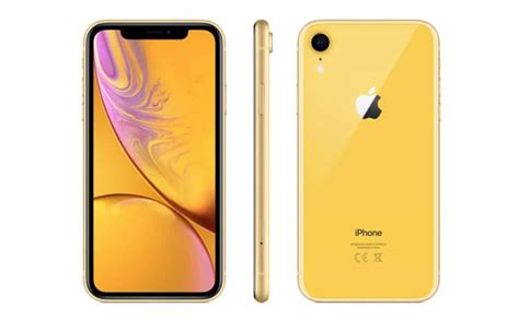 Iphone Xr Colors Which Hue Is The Most Popular