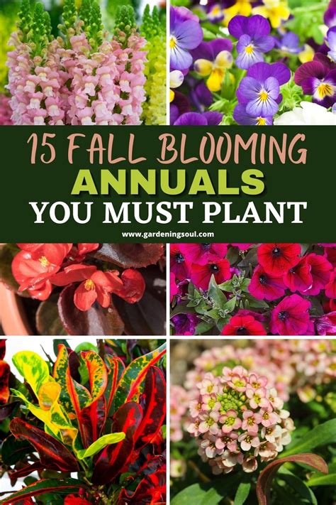 15 Fall Blooming Gardening Soul