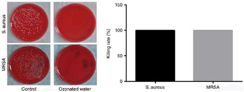 Killing Rate Of Ozonated Water For S Aureus And Mrsa The Ozonated
