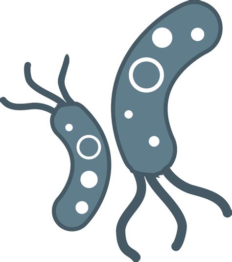 Download High Quality Bacteria Clipart Transparent Background