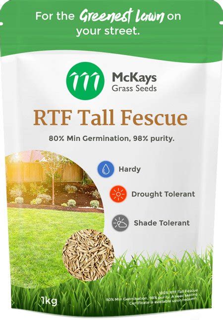 Rtf Tall Fescue Seed Mckays Grass Seeds Reviews On Judgeme