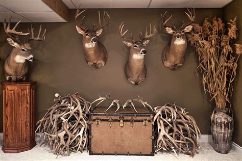 Deer Trophy Room Ideas House Stories