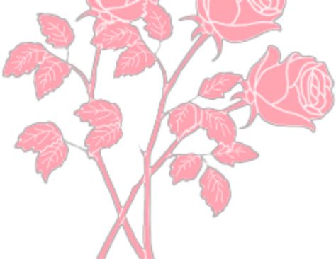 Transparent Aesthetic Rose Png Pastel Pink Aesthetic Rose