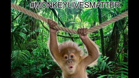 Monkey Lives Matter Youtube