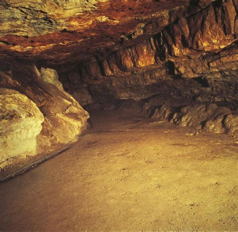 Altamira Für 37 Minuten In Der Steinzeit Höhle Welt