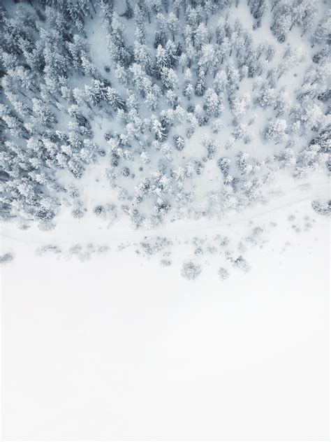 Snow Wallpapers Free Hd Download 500 Hq Unsplash