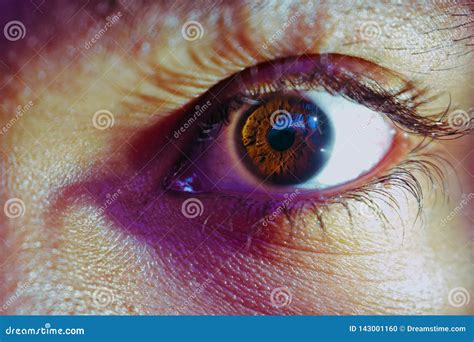 Eye Stock Photo Image Of Perceives Camera Naked Eyelashes