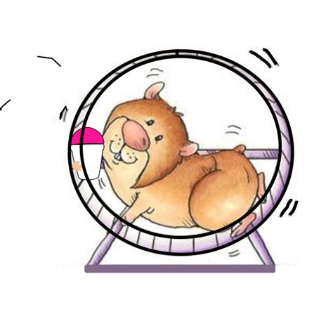 Hamster Wheel Clip Art At Vector Clip Art