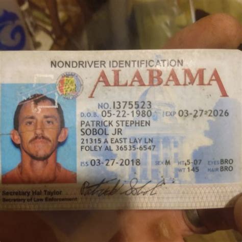 Stephen Pat Foley Alabama United States Professional Profile