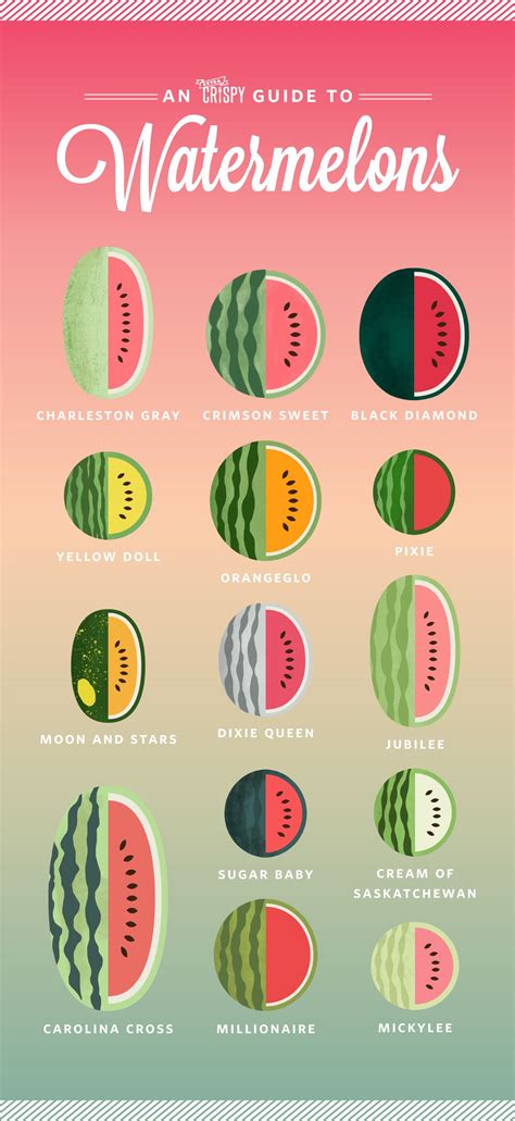 Pin By Plamen Jordanov On Food Watermelon Varieties Types Of