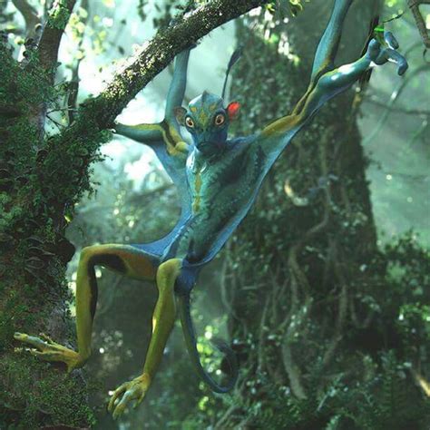 Pin By Helen Gardner On Avatar Avatar Animals Pandora Avatar Avatar