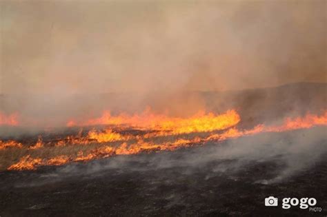 СЭРЭМЖЛҮҮЛЭГ: Өнгөрсөн онд 176 га талбай түймэрт өртжээ