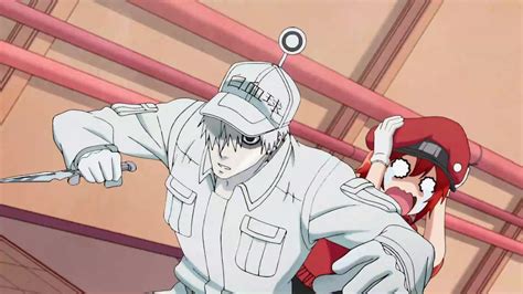 Cells At Work 1x1 Anime Tomu