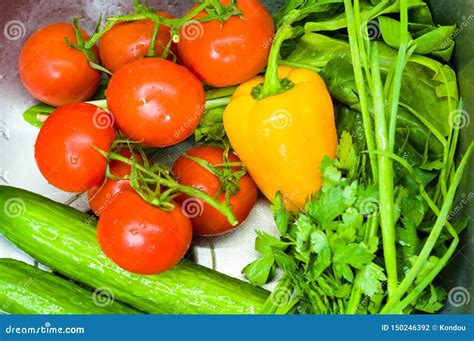 Fresh Whole Vegetables Tomatoes Green Onions Cucumbers Yellow Bell