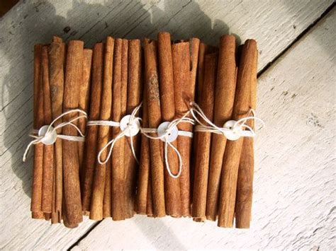 Cinnamon Sticks 3 Bundles Etsy Cinnamon Sticks Spices Stick