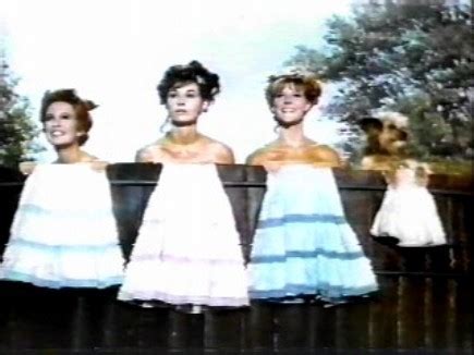 Petticoat Junction Classic Television Revisited Photo 2347227 Fanpop