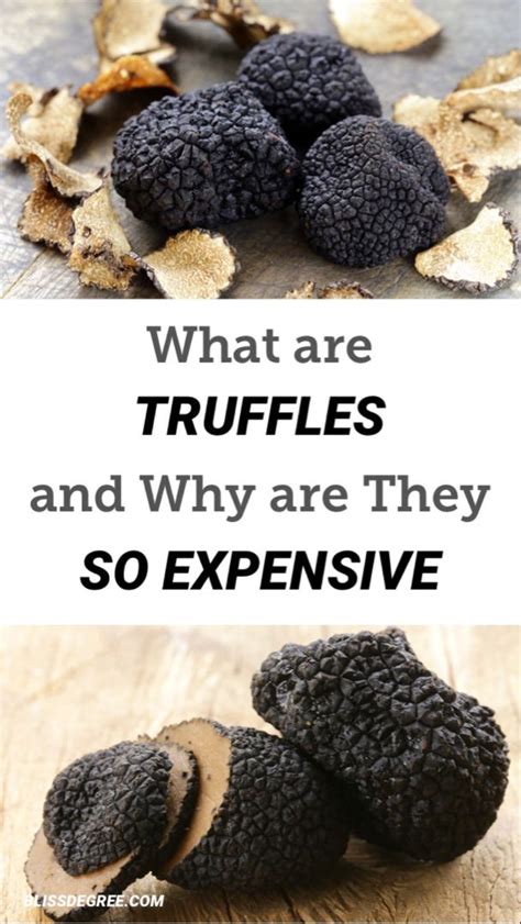 What Are Truffles And Why Are They So Expensive Click To See More Info