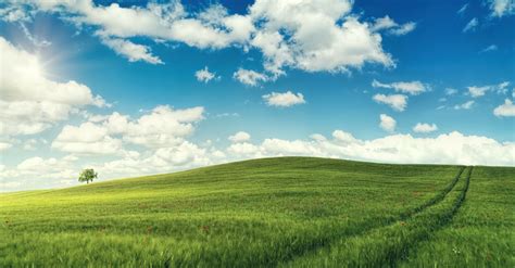 Empty Green Meadow In Countryside On Sunny Day · Free Stock Photo