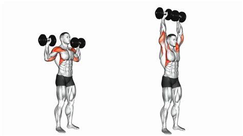 Top 5 Side Delt Exercises To Grow Your Shoulders