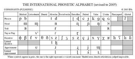 Ipa Pulmonic Consonants International Phonetic Association