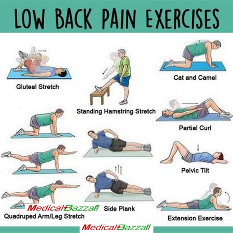 Physiotherapy Exercises For Back Pain Images Exercise Poster