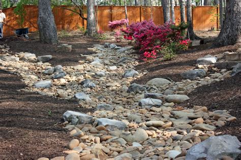 A Guide To Create Striking Dry Riverbed Landscapes Like A Pro