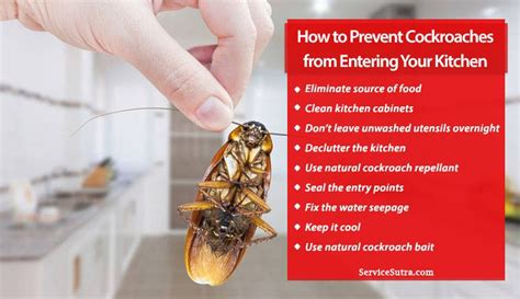 While you can bring in a local pest control service to deal with these vile insects, the chemicals they use to kill roaches isn't healthy for you, your family, or the environment. How to Prevent Cockroaches from Entering Your Kitchen - ServiceSutra | Pest control, Prevention ...