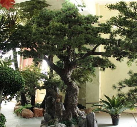 Semplicemente, forse, non avete avuto modo di accedere alle giuste. Alberi finti - Piante Finte - Tipologie di alberi finti