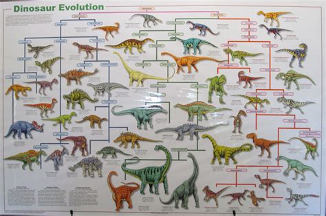 Dinosaur Kinds Part 1 Secular Creation Engineering Concepts