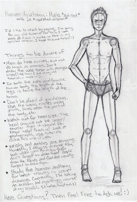 Male Anatomy Tutorial Edited By Shoujoartist On Deviantart
