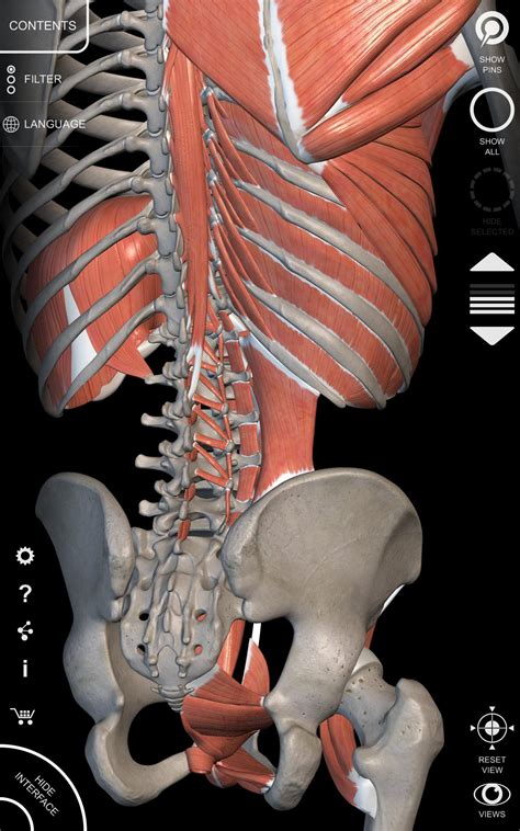 For instance, maps constitute both the input and output of a gis. Android için Anatomy 3D Atlas - APK'yı İndir