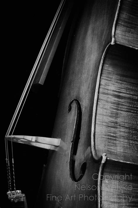 8 X 12 Black And White Fine Art Photography Print Cello All Things