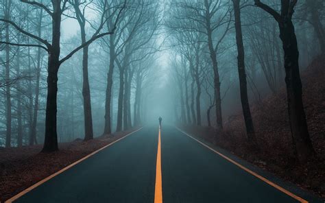 Photographer Road Landscape Forest Trees Mist Wallpaper