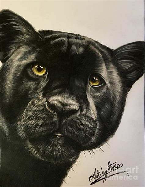 Characters introduced in animal forest and animal crossing. Black Panther Drawing by Art By Three Sarah Rebekah Rachel White