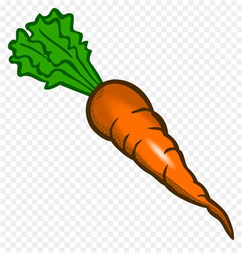 Baby Carrot Gajar Ka Halwa Vegetable Carrot Png Image Png Download