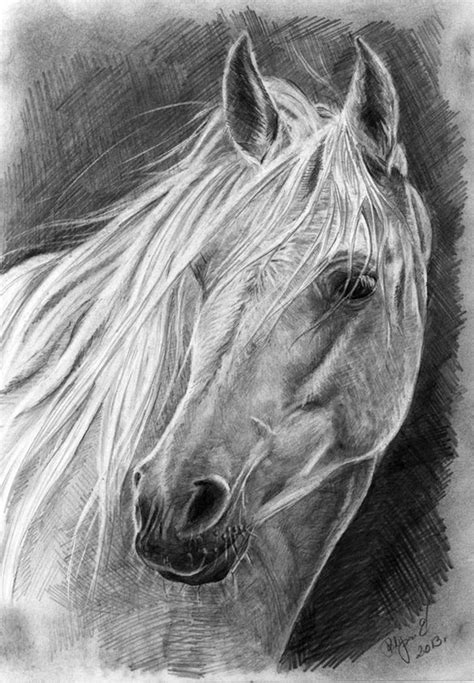 Horse Drawings Animal Drawings Horses