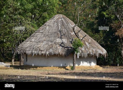 Traditional Tribal Hut In India Stock Photo Alamy