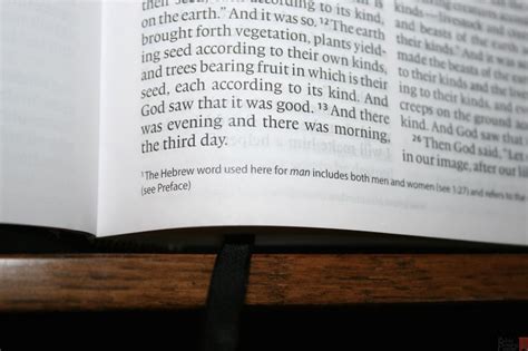 Crossway Large Print Thinline Bible Review 16 Bible Buying Guide