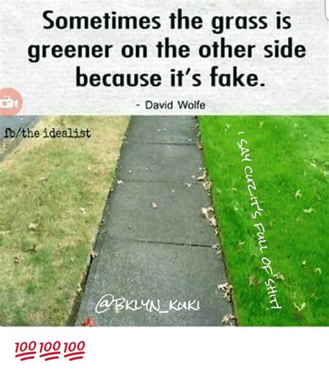 Sometimes The Grass Is Greener On The Other Side Because Its Fake