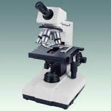 The possible existence of unseen microbial life was suspected from ancient times. Sains Tahun 5: Mikroorganisma