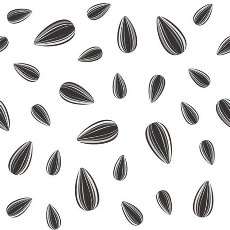 Sunflower Seeds Clip Art Vector Images And Illustrations Istock