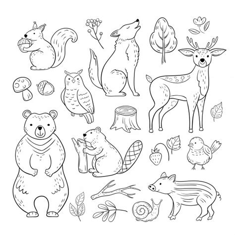 Woodland Baby Animals Coloring Pages Coloring Pages