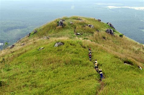 Suitable for all ages and fitness levels, this gentle slope is the best way to get some exercise. Broga - Wikipedia