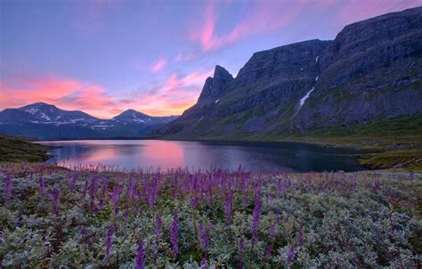 Wallpaper Flowers Mountains Lake Sunrise Norway Norway Images For