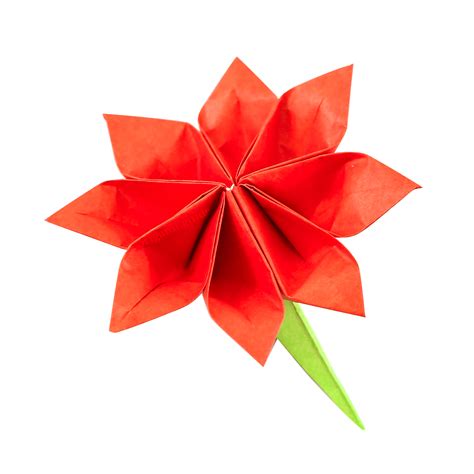 Fold An Easy Origami 8 Petal Flower Origami Guide